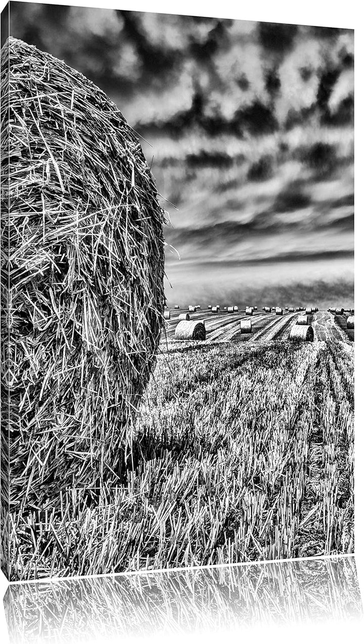 Pixxprint Feld im Sonnenuntergang als Leinwandbild/Grösse: 100x70 cm/Wandbild/Kunstdruck/fertig besp