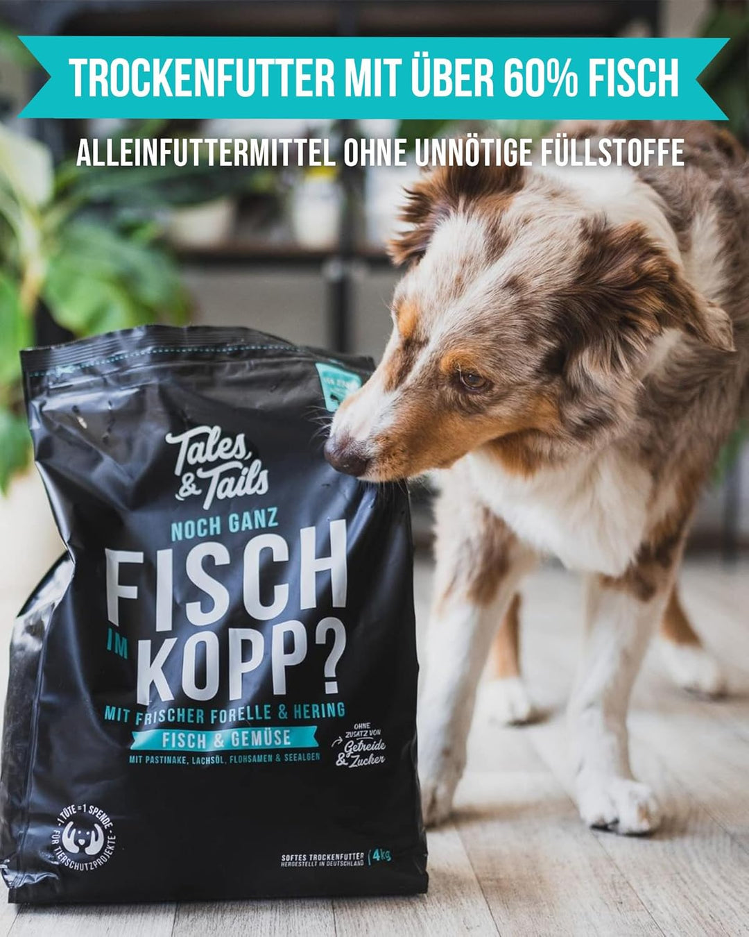 Tales &amp; Tails Fisch Im Kopp Halbfeuchtes Trockenfutter für Hunde | Getreidefrei | Mit 60% Fisch Als