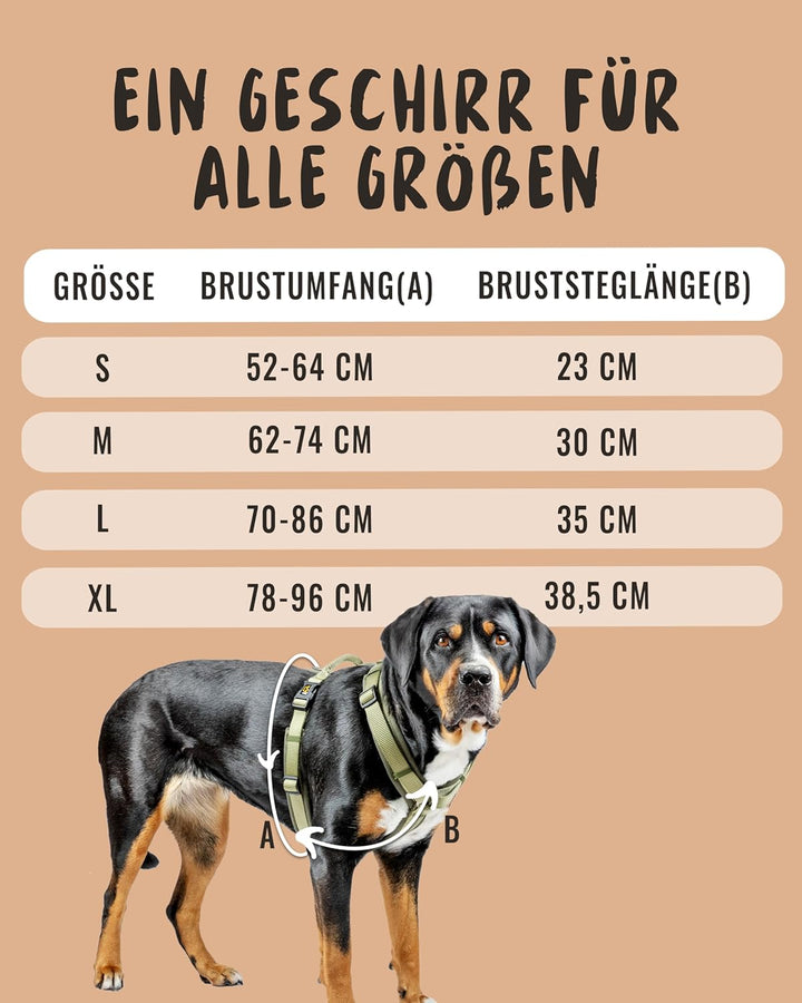 Rudelkönig Hundegeschirr Bella - Gepolstertes Brustgeschirr mit Haltegriff - Hunde Geschirr in Y-Des