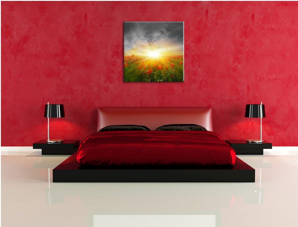 Pixxprint Mohnwiese in der Sonne / 70x70cm Leinwandbild bespannt auf Holzrahmen/Wandbild Kunstdruck
