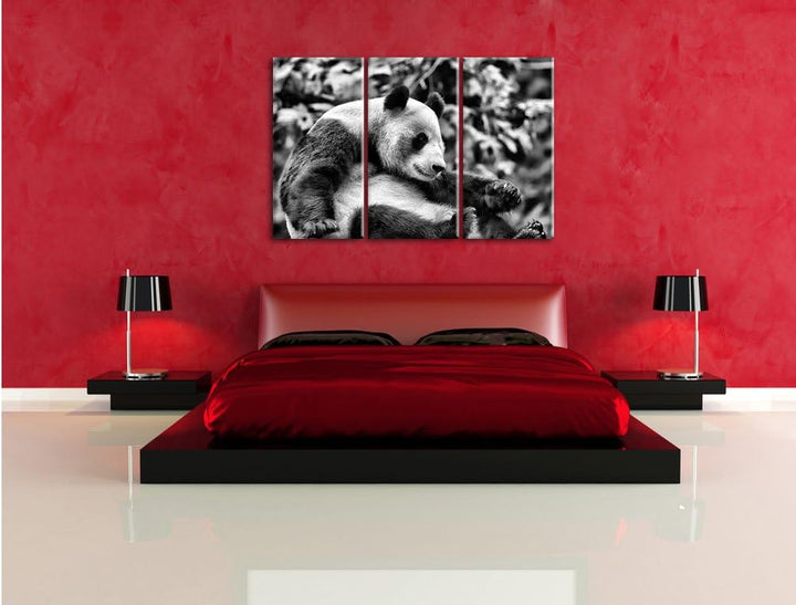 Pixxprint Monocrome, niedlicher Pandabär 3-Teiler Leinwandbild 120x80 Bild auf Leinwand