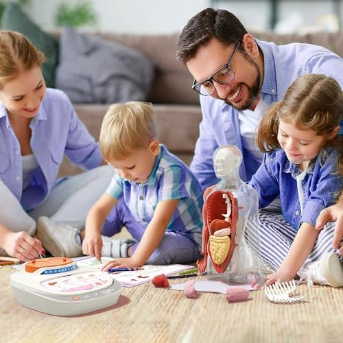 Science Can Anatomiemodell für Kinder, Menschliche Körper Set, Interaktive Spielzeug - Englisch, 22c