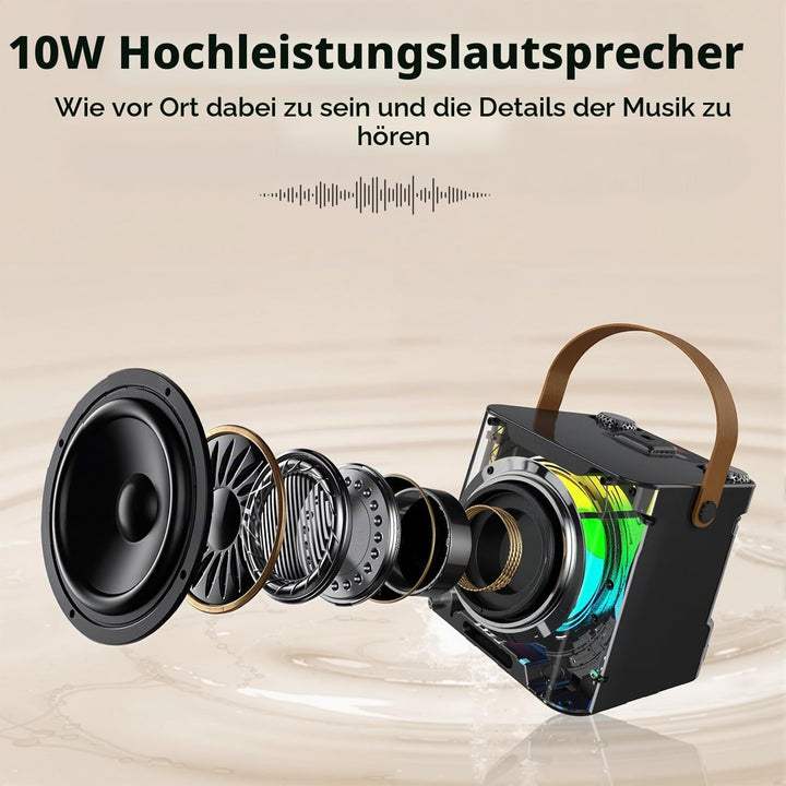 Karaoke Maschine mit 2 Mikrofonen, Tragbare Bluetooth Lautsprecher Box für Erwachsene und Kinder, Ka