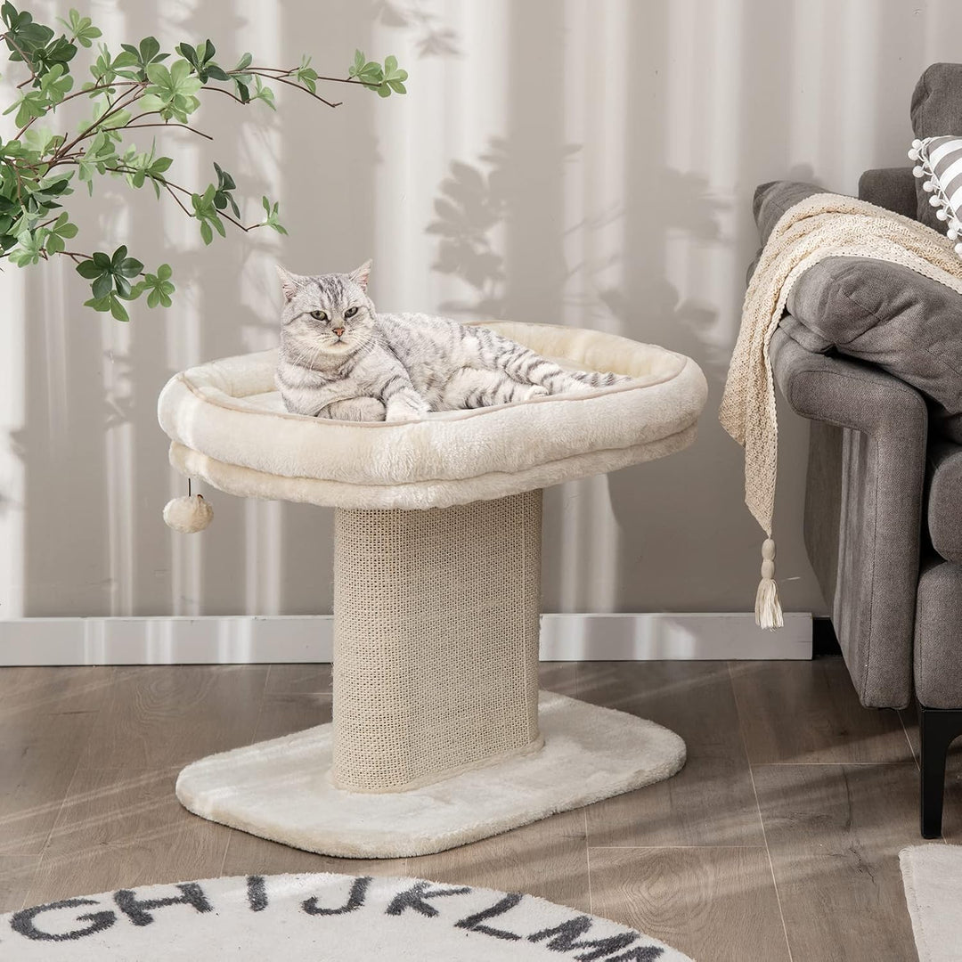 COSTWAY Kratzbaum Klein, 50cm hoch, Katzenbaum mit weicher Plüschsitzfläche & Sisal-Kratzsäule & Bal