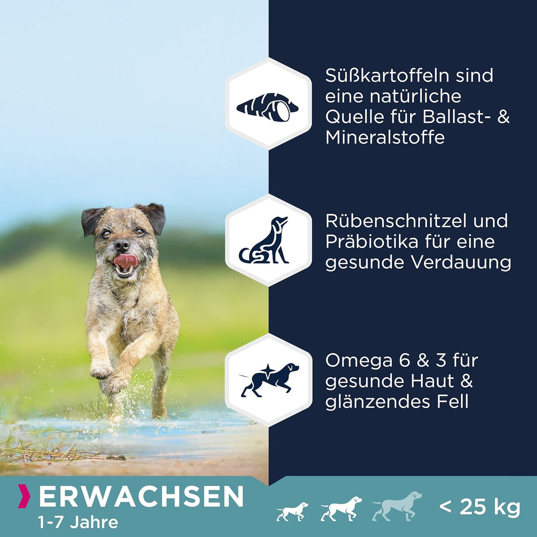 Eukanuba Hundefutter getreidefrei mit Huhn für kleine und mittelgrosse Rassen - Trockenfutter für au