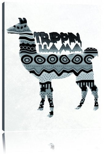 Trippin Lama negative Leinwandbild Bild auf Leinwand, XXL riesige Bilder fertig gerahmt mit Keilrahm