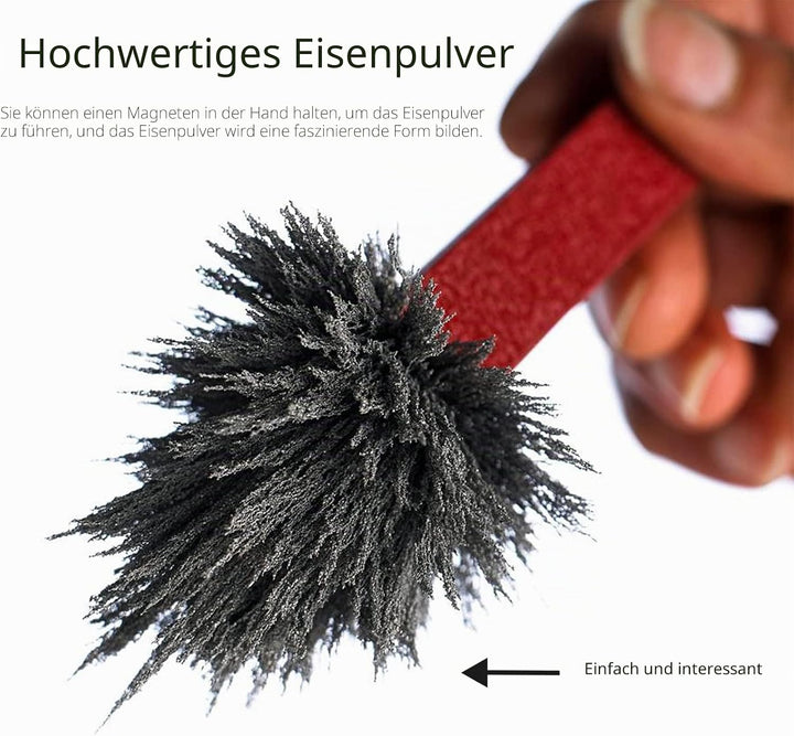 Magnetischer Sand Eisenfeilspäne Magnetkraft für Magnetunterricht und Schulprojekte, Aufbewahrung (1