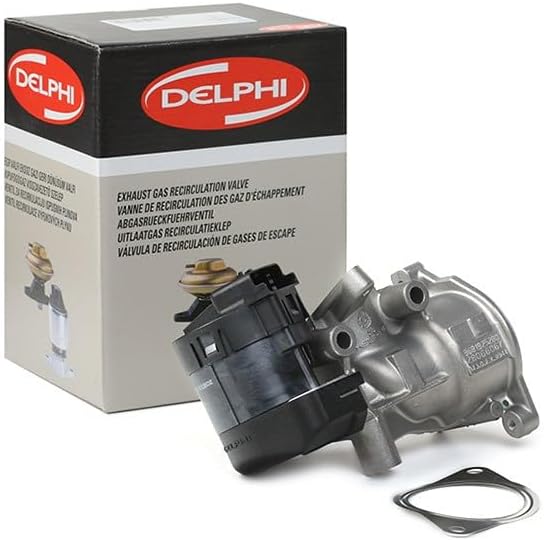 Delphi EG10396-12B1 Agr-Ventil