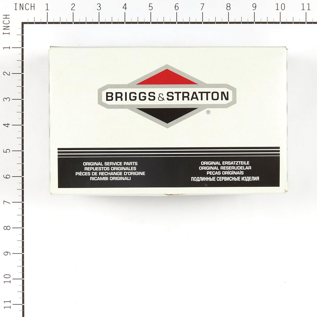 Briggs & Stratton 397135 Vergaser