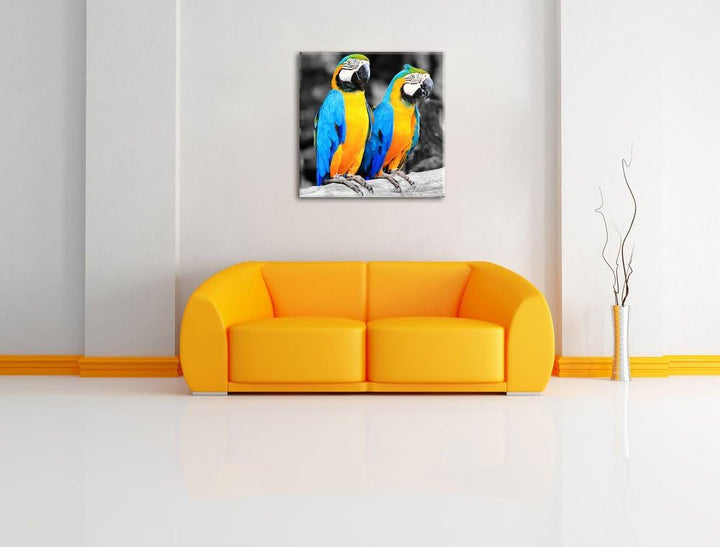 Zwei Papageien als Leinwandbild/Grösse: 70x70 cm/Wandbild/Kunstdruck/fertig bespannt, 70x70