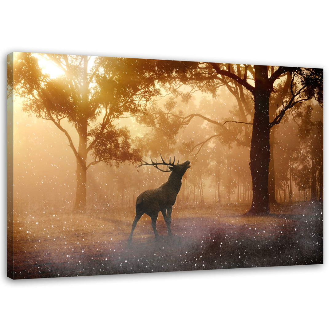 Feeby. Wandbild - 1 Teilig - 60x80 cm, Leinwand Bild Leinwandbilder Bilder Wandbilder Kunstdruck, HI
