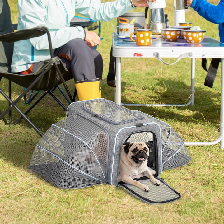 Petsfit Faltbarer Transporttasche Katze und Hund,erweiterbare Katzentransportbox mit Schultergurt Hu