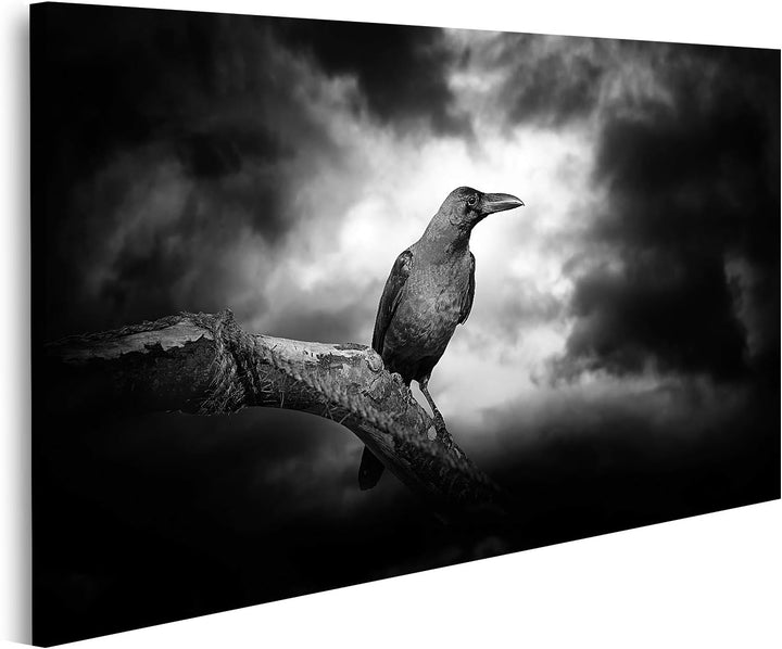 islandburner Bild auf Leinwand Rabe Kahler Zweig Mond Wolken Bilder Wandbilder Poster Leinwand 80x40