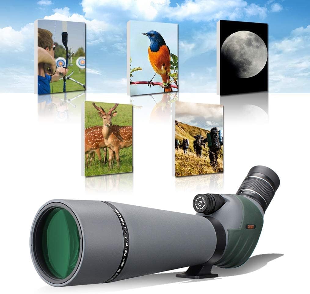 Gosky ED Spektiv mit Doppelter Fokussierung 20-60x 80mm mit Smartphone-Adapter, Spektive mit Extra G