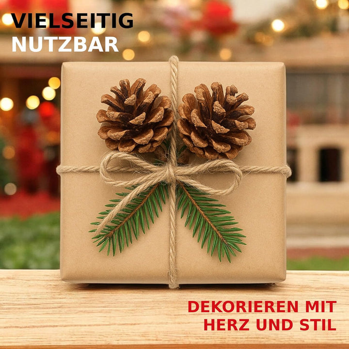 NaDeco Grosse Pinienzapfen Grösse 12-14cm, 10 STK. | Pinus pinea | Pinien Zapfen | Tannenzapfen | Ki