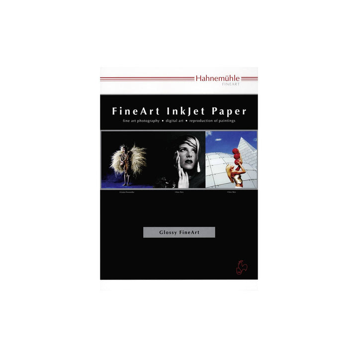Hahnemühle 10641655 Digital FineArt Pearl Papier, 285 g/m², DIN A4, 210 x 297 mm, hellweiss, 210 x 2