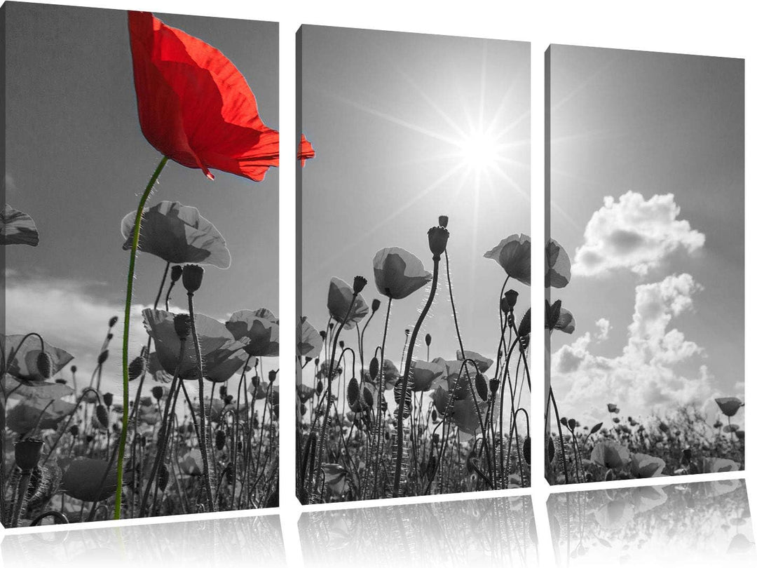 Pixxprint Mohnblumenfeld im Sommer als Leinwandbild | Grösse: 3 Teilig (120x80) | Wandbild| Kunstdru