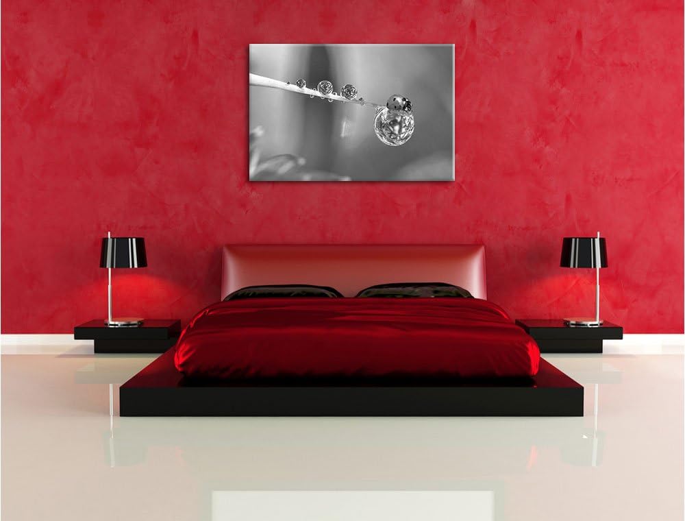 Pixxprint Marienkäfer als Leinwandbild/Grösse: 100x70 / Wandbild/Kunstdruck/fertig bespannt, 100x70