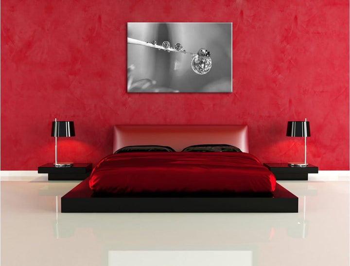 Pixxprint Marienkäfer als Leinwandbild/Grösse: 100x70 / Wandbild/Kunstdruck/fertig bespannt, 100x70