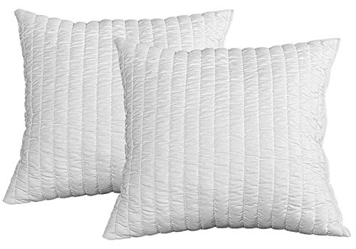EVERGREENWEB ✅ Angebot! 2er Set Kissen 100% Memory Flocken 60x60 cm, 15 cm Hoch, Ideal gegen Nackens