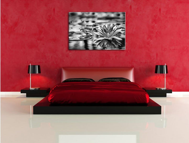 Pixxprint Anmutige Seerose mit Blättern / 100x70cm Leinwandbild bespannt auf Holzrahmen/Wandbild Kun