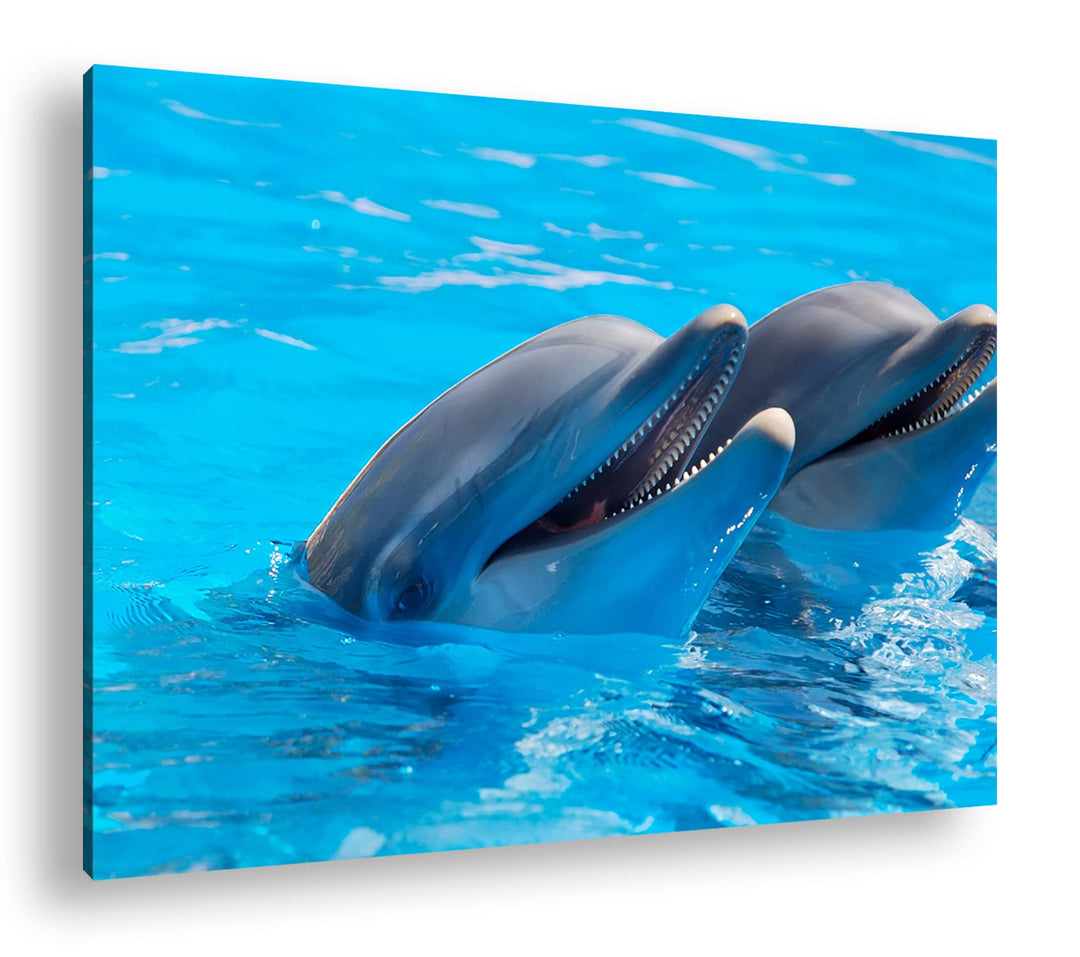 deyoli bezaubernde Delphine Format: 80x60 als Leinwand, Motiv fertig gerahmt auf Echtholzrahmen, Hoc