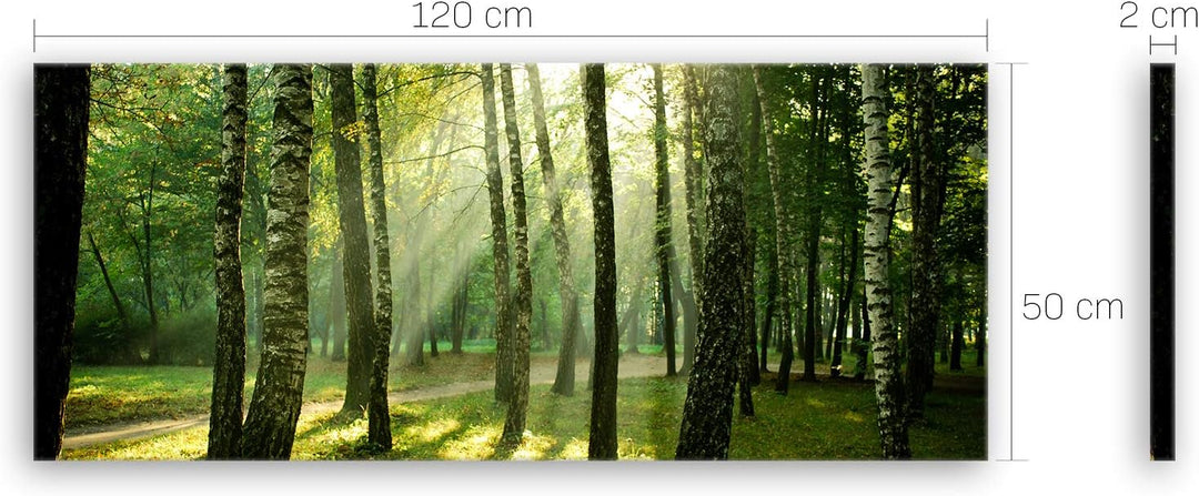 ge Bildet Bild auf Leinwand | Landschaftsbilder - Wald I in 120x50 cm als Panorama Wandbild XXL | Wa