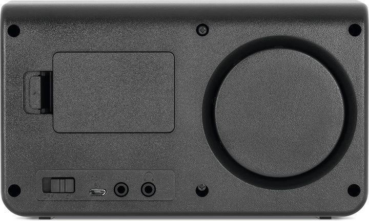 TechniSat STERNRADIO IR 2 - kompaktes Internetradio (WLAN, wechselbarer Akku, Farbdisplay, änderbare