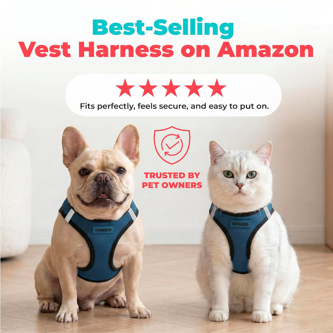 Best Pet Supplies Voyager Step-In Air Hundegeschirr – Allwetter-Netzgewebe für kleine und mittelgros