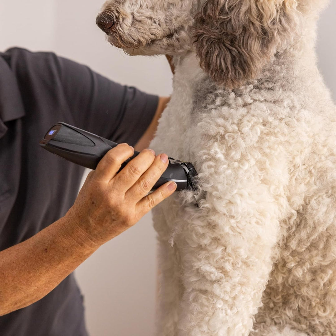 Agrarzone Edition Wahl Moser Max Go Hundeschermaschine mit Aufsteckkamm-Set - Kraftvolle Akku Scherm