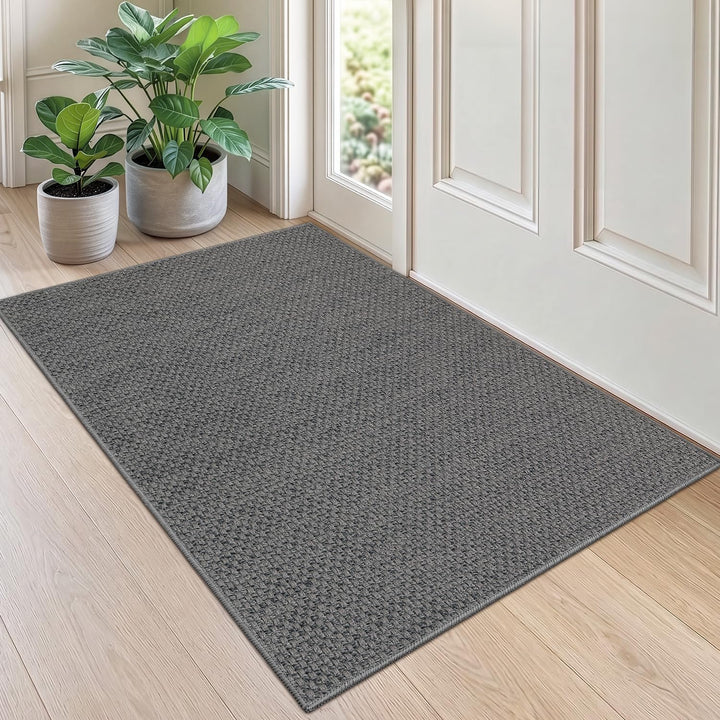 DEXI Schmutzfangmatte Innen 81 x 122 cm, rutschfest Fussmatte waschbar, absorbierend Fussmatte, Dünn