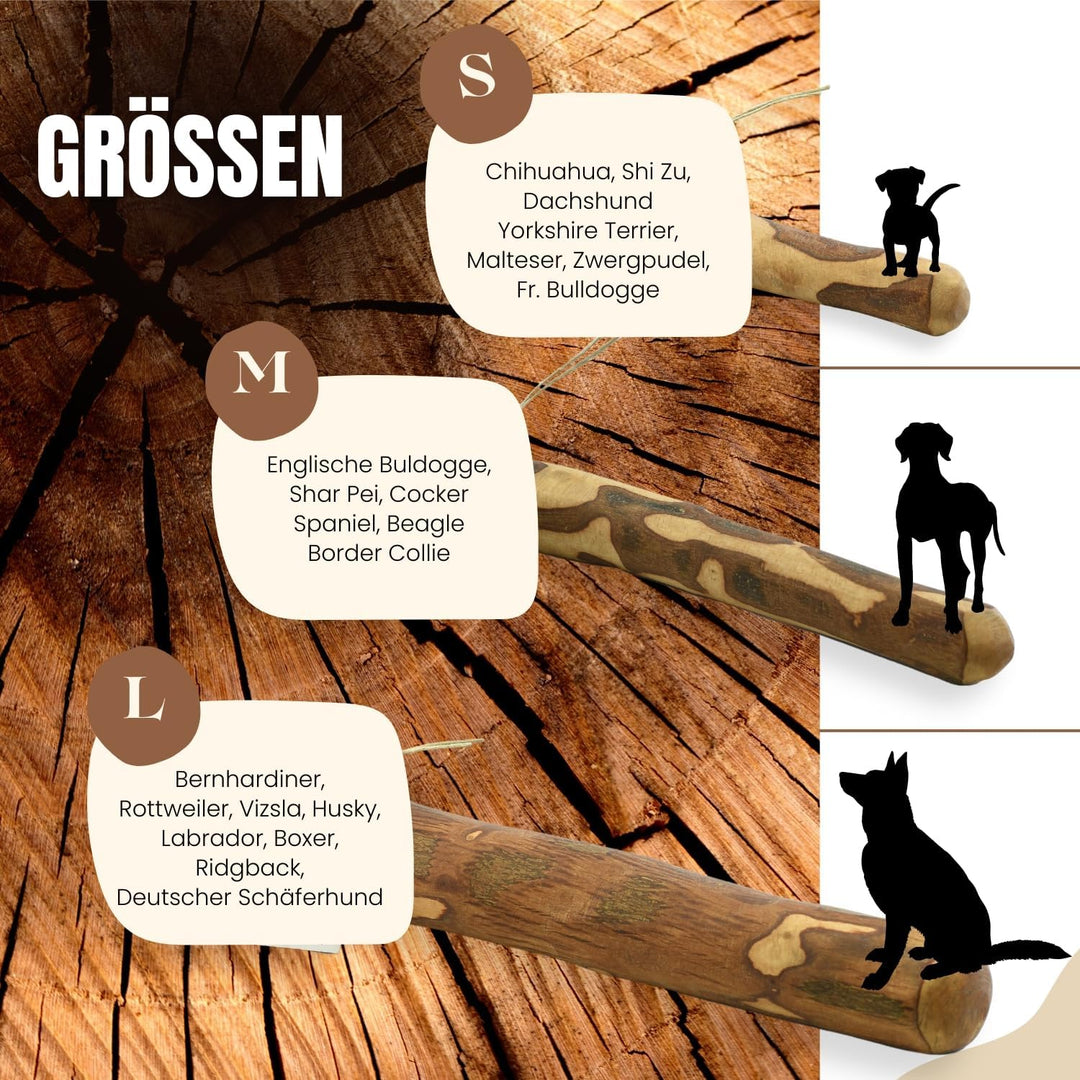 PetLove Kauholz für Hunde aus Olivenholz • Holzknochen als Hundespielzeug • Kauknochen als Zahnpfleg