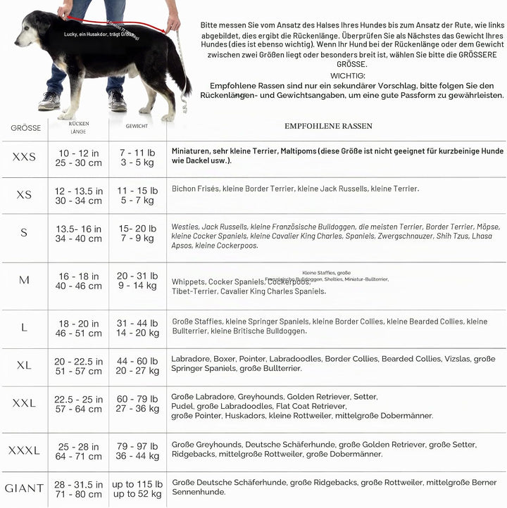 Lucky Paws® Hundebademantel - doppellagiger Bademantel Hund schneller trocken in Minuten, absorbiere