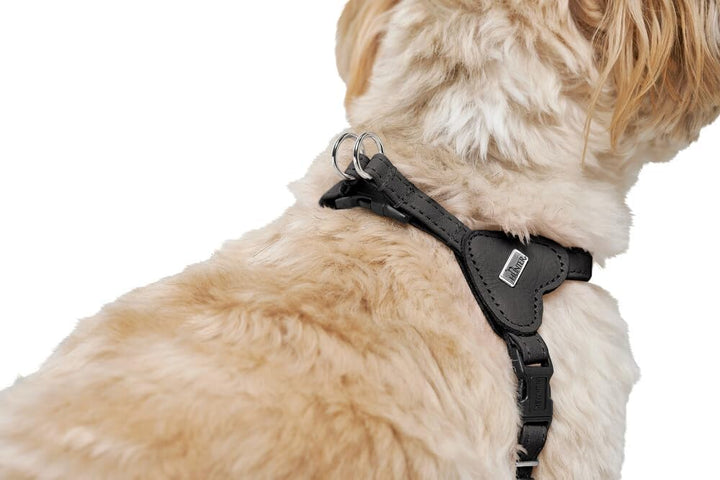 Hunter Hundegeschirr SOHO MINI, Farbe: schwarz, Rindsleder, weich & geschmeidig, fellschonend, leich