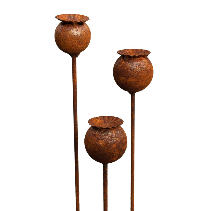 Bornhöft 3er Set Gartenstecker Sonnenhut Metall Rost Gartendeko Edelrost Rankstab Beetstecker Topfst