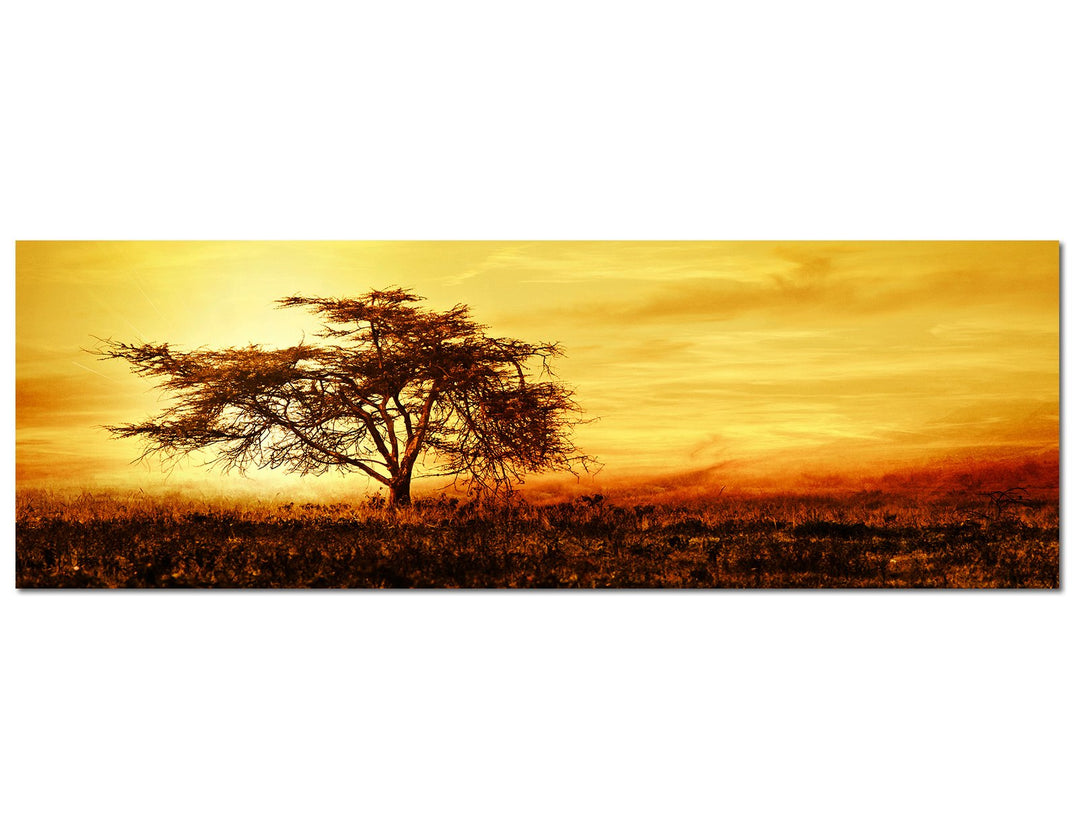 Panoramabild auf Leinwand und Keilrahmen 120x40cm Afrika Baum Silhouette Sonnenuntergang