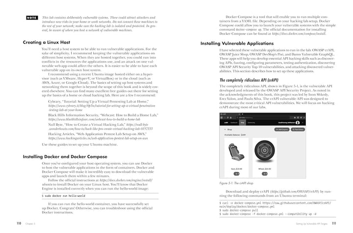 Hacking APIs: Breaking Web Application Programming Interfaces, Taschenbuch