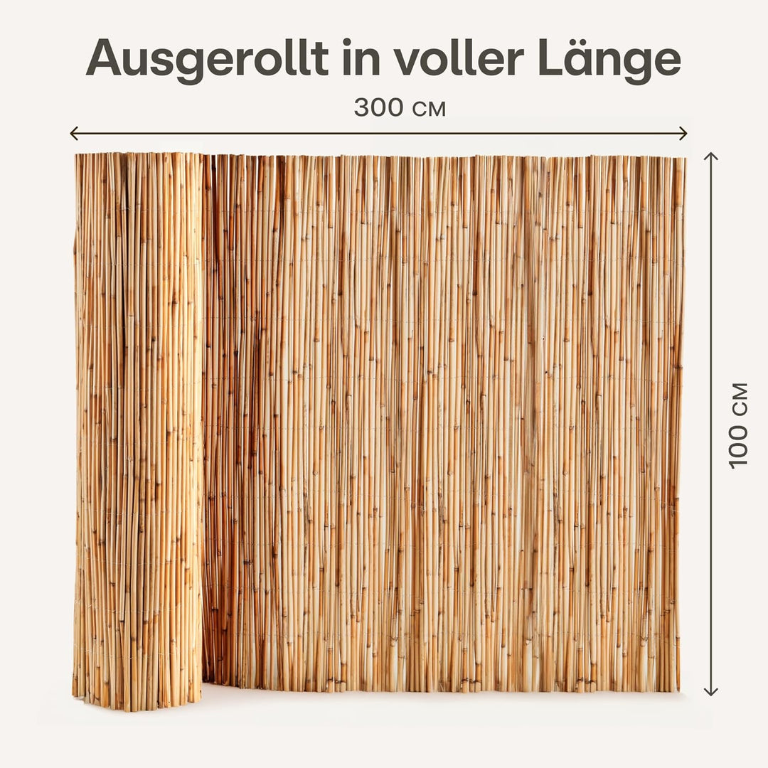 Praknu Schilf Balkon Sichtschutz Holz 100 x 300cm - FSC® Zertifiziertes Natürliches Schilf - Einsetz