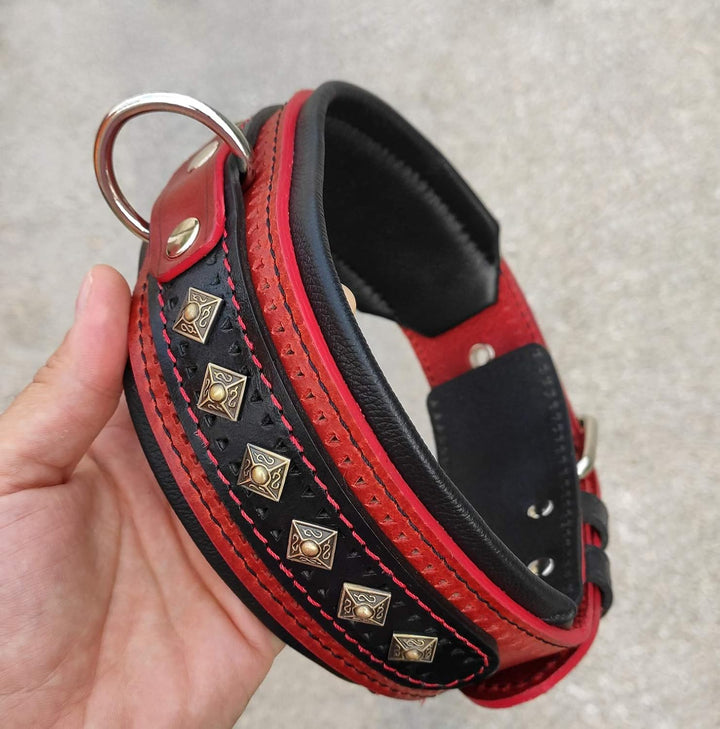 Bestia "Balteus Halsband in Rot M - von 42,5 cm bis 52,5 cm Rot & Schwarz, M - von 42,5 cm bis 52,5