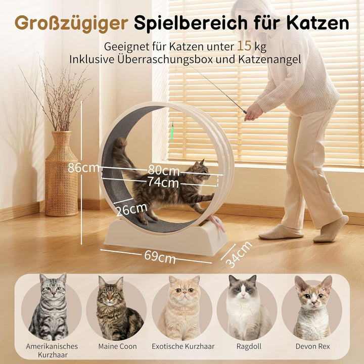 LEADZM Katzenlaufrad 80cm Durchmesser - Laufrad Katze aus Kunststoff, Inklusive Teppich und Katzensp