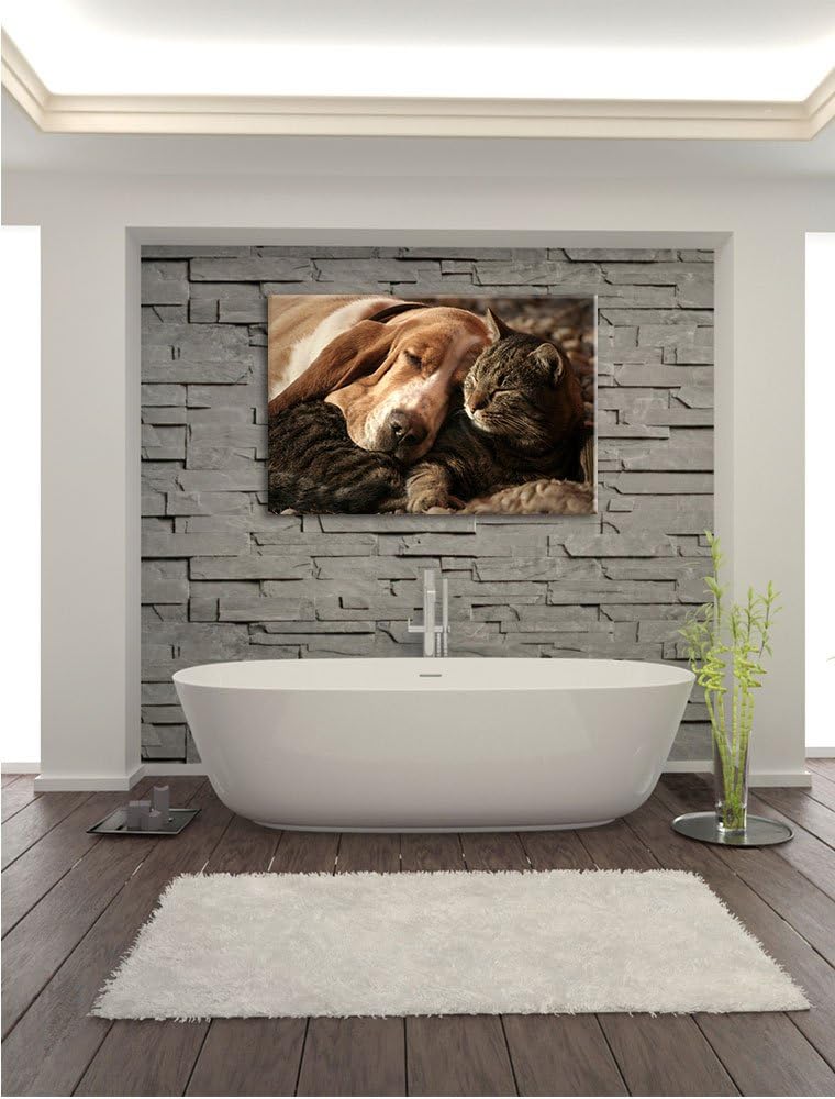 Katze und Hund kuschelnd, Format: 100x70 auf Leinwand, XXL riesige Bilder fertig gerahmt mit Keilrah