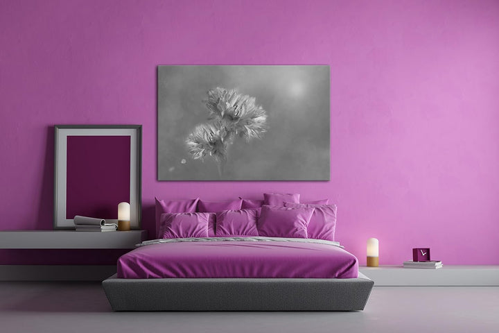 deyoli zwei violette Kornblumen Effekt: Schwarz/Weiss Format: 60x40 als Leinwand, Motiv fertig gerah