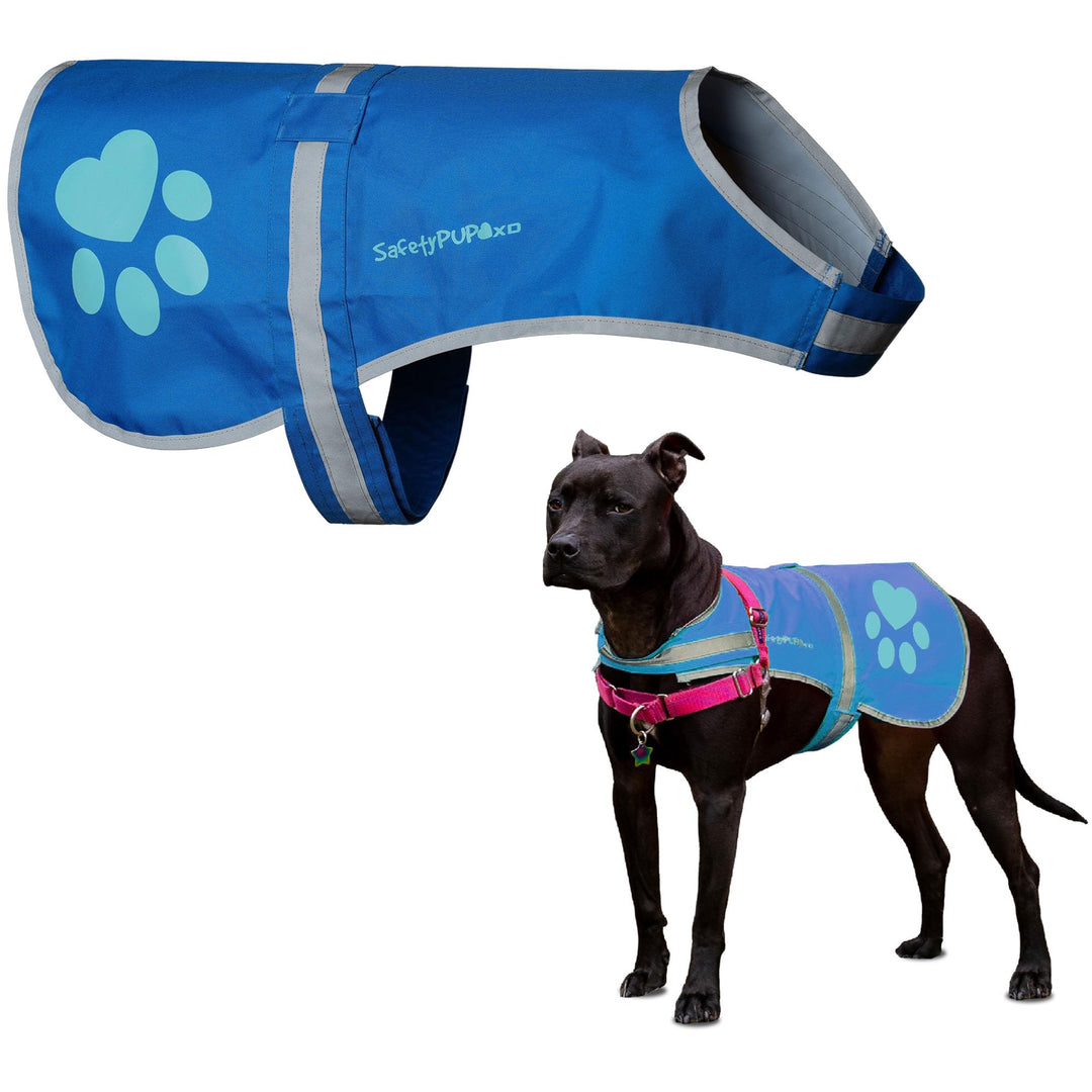 SafetyPUP XD - Schützen Sie Ihren besten Freund. Reflektierende Warnweste für Hunde, bietet entschei