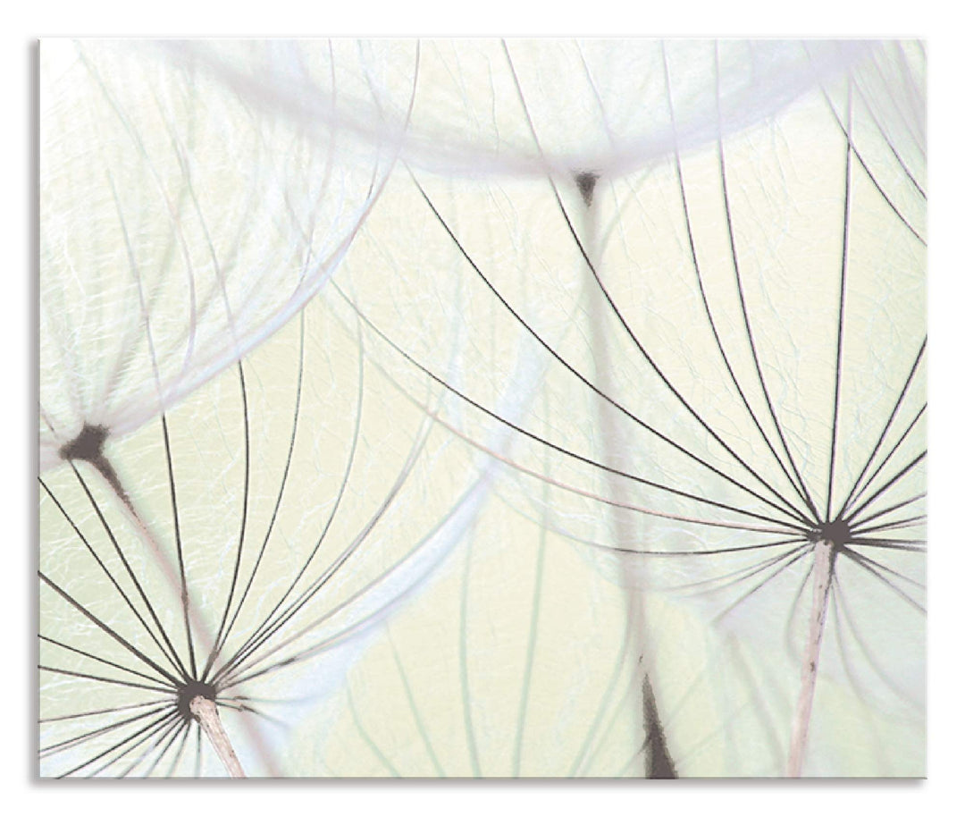 ARTland Spritzschutz Küche aus Alu für Herd Spüle 60x50 cm (BxH) Küchenrückwand mit Motiv Blume Pust