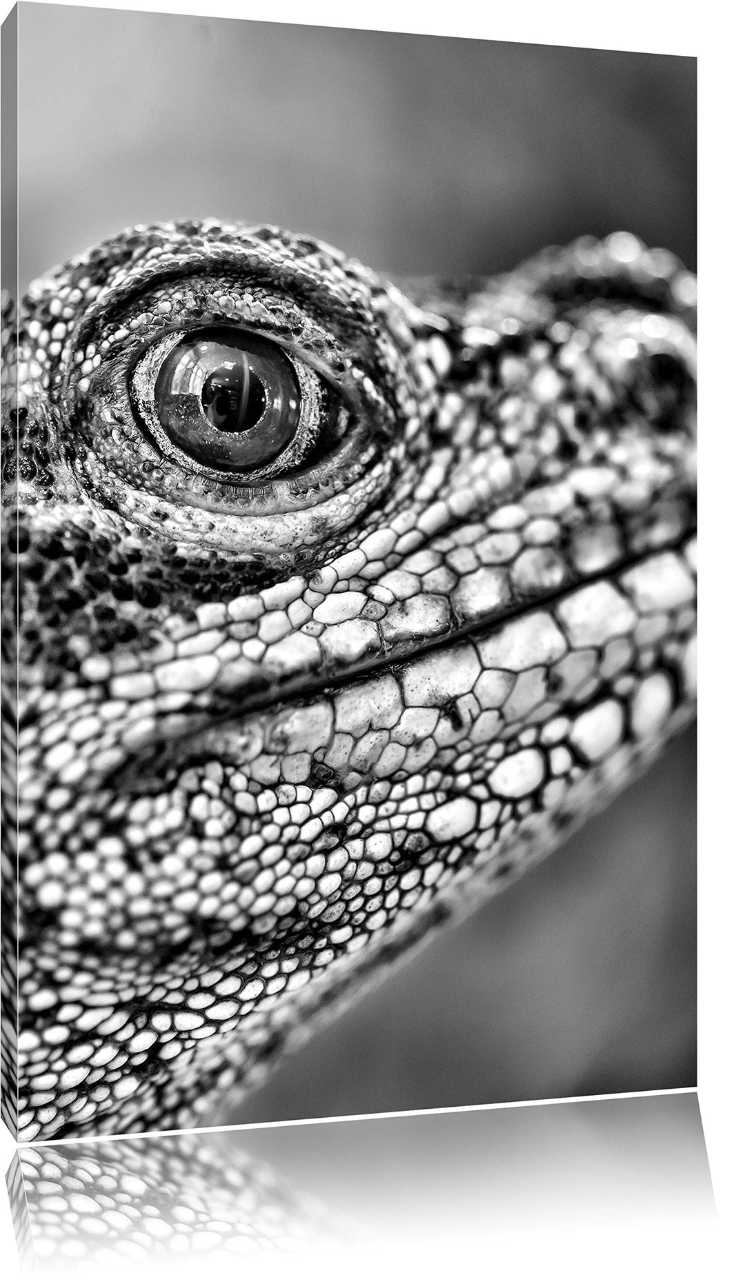 Pixxprint grosser Schuppenwaran / 100x70cm Leinwandbild bespannt auf Holzrahmen/Wandbild Kunstdruck