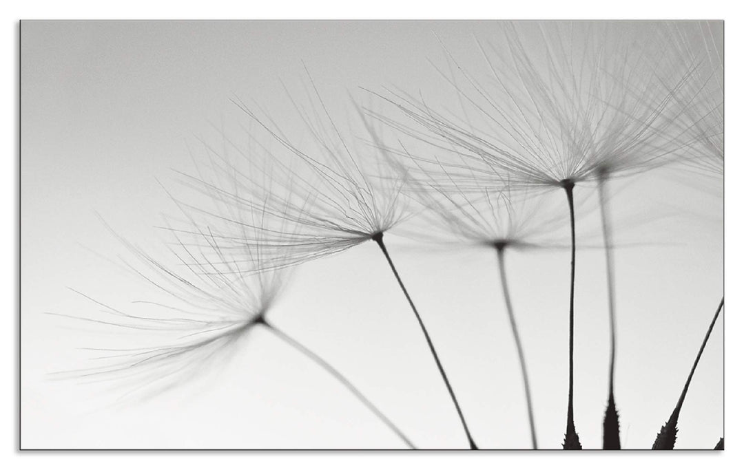 ARTland Spritzschutz Küche aus Alu für Herd Spüle 90x55 cm (BxH) Küchenrückwand mit Motiv Blume Pust