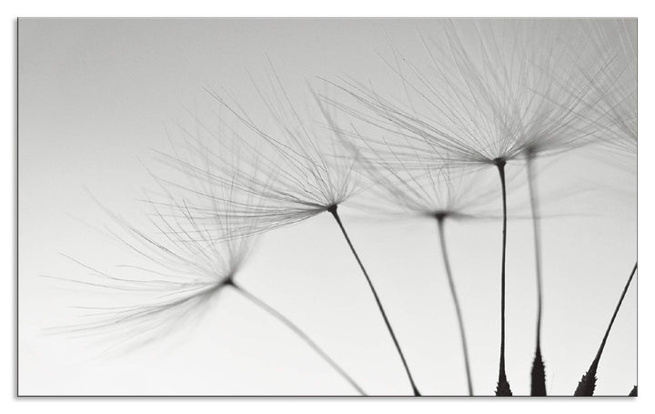 ARTland Spritzschutz Küche aus Alu für Herd Spüle 90x55 cm (BxH) Küchenrückwand mit Motiv Blume Pust