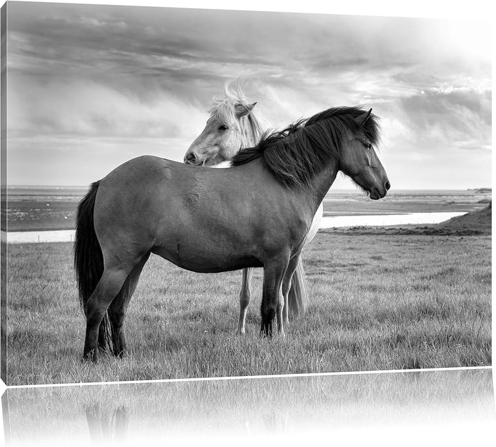 Pixxprint Pferde auf der Wiese als Leinwandbild/Grösse: 100x70 / Wandbild/Kunstdruck/fertig bespannt