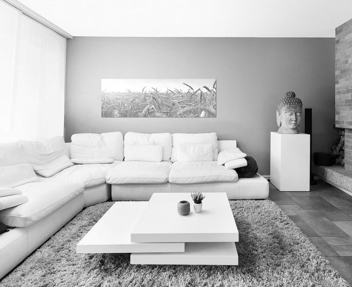 Paul Sinus Art Leinwandfoto als Panorama SCHWARZ/Weiss 150x50cm Kornfeld Herbst Sonnenstrahlen