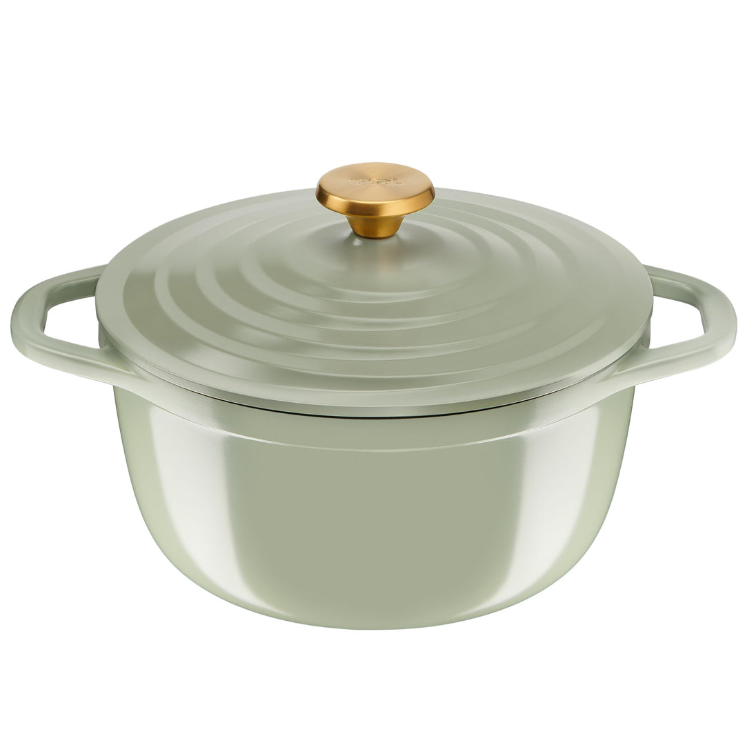 Tefal Schmortopf aus Aluminiumguss, 24 cm, 4-5 Personen, Induktion, leicht, aus Aluminiumguss, einfa